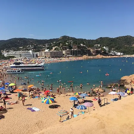 Armonia Lloret de Mar